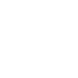 21bjh's emblem