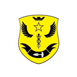 InfiniteDynasty's emblem