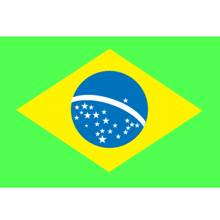 VitikoFlamengo's emblem