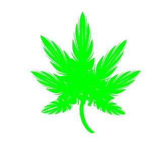 refaelpntssb's emblem