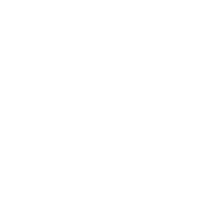 Burnoutz2's emblem