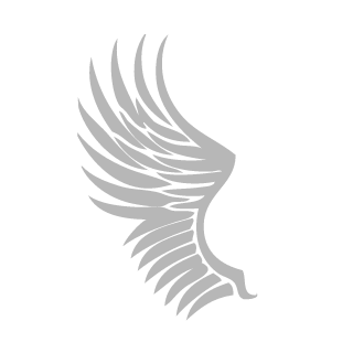 WatchBackk's emblem