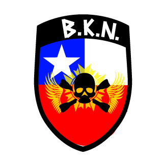 NinjaCTM1's emblem