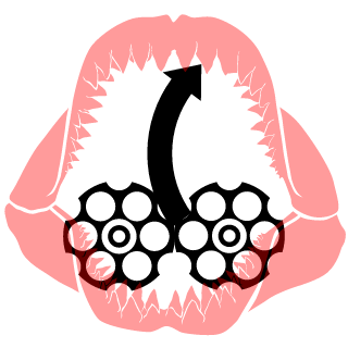 Eat A D1CK's emblem