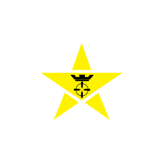 BinnyBR's emblem