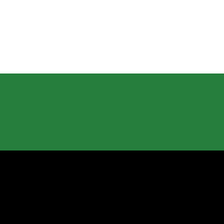 dan_gamer989's emblem
