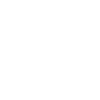 EctoBoii's emblem