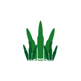 KeaDNr1's emblem