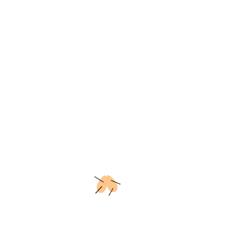 HealthandSun's emblem