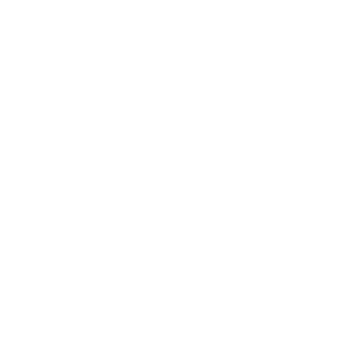1stSo's emblem