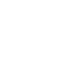 Digls77RUS's emblem