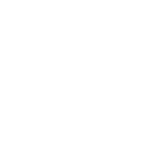 Vondi2201's emblem