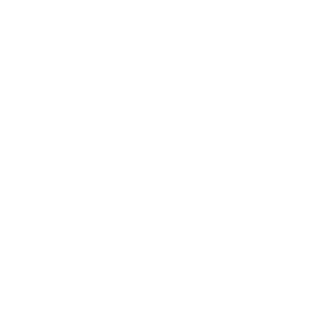 SCS2333's emblem