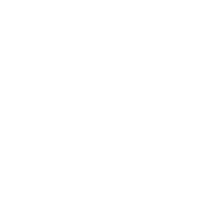 Striker-reborn's emblem