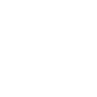 TROGDOR 19's emblem