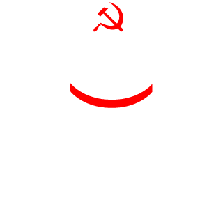 CrazyOrange_RUS's emblem