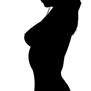 RaxsisBoyTR's emblem