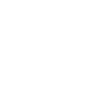 Rhino-370's emblem