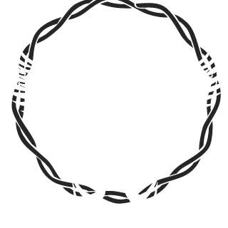 Waardoog's emblem