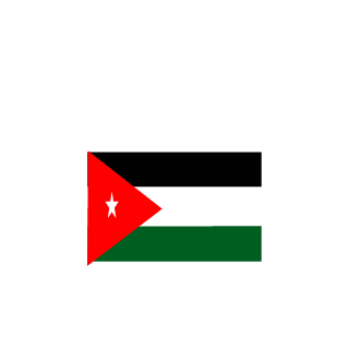 SoHecticKid's emblem