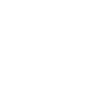 anto2424v2's emblem