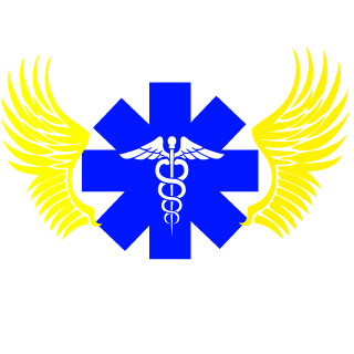 STR_Vindo's emblem