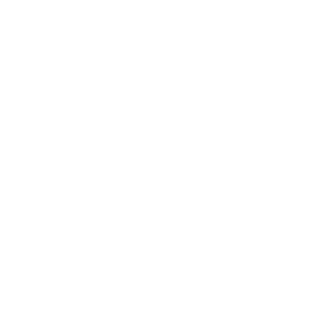 maksimshubin's emblem