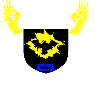 Nysson_16's emblem