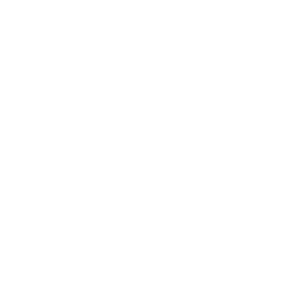 dude225s's emblem