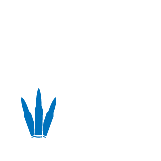 Bonesaw21's emblem