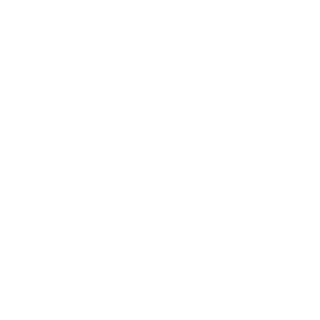 rever0mg's emblem