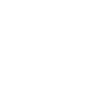 Gerardo1377 BR's emblem