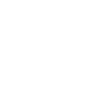 sonil-1's emblem