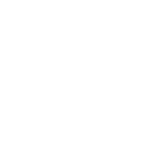 gt5nfsfan's emblem
