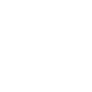 Vtrooper_N7's emblem
