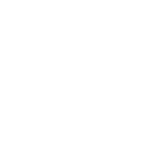 chrnotrigger's emblem