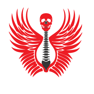 superninjafaker's emblem