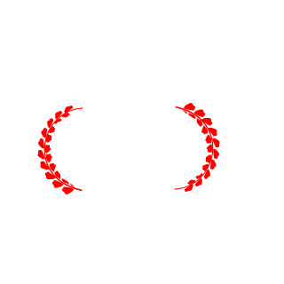 BomleyBoom's emblem