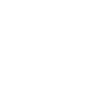 nicoant2's emblem