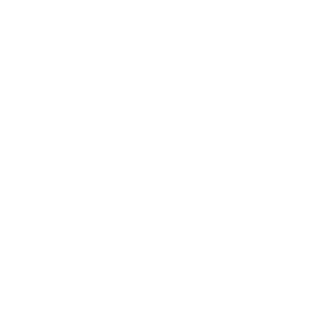 brightkills's emblem
