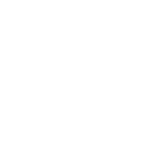 deToucan_'s emblem