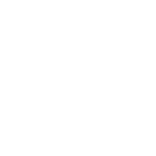 blrdmann's emblem