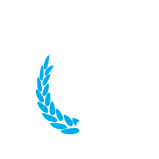 P4SSM4N's emblem