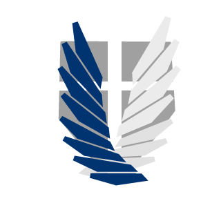 Gokay1113's emblem