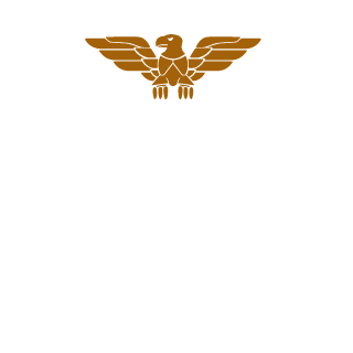 Absolut873's emblem