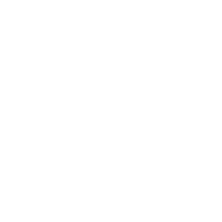 dvk0101's emblem
