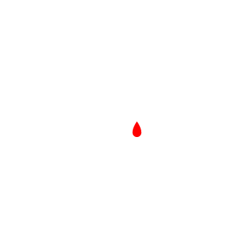 0f4926720013eeb3's emblem