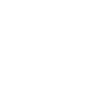 Shandong0534's emblem