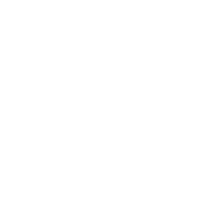 MasterNerse's emblem