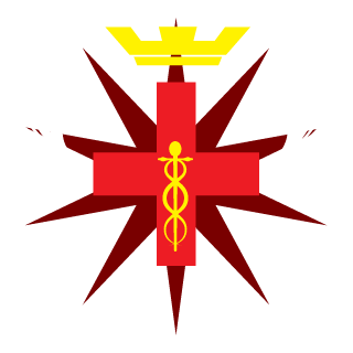 TEE113's emblem